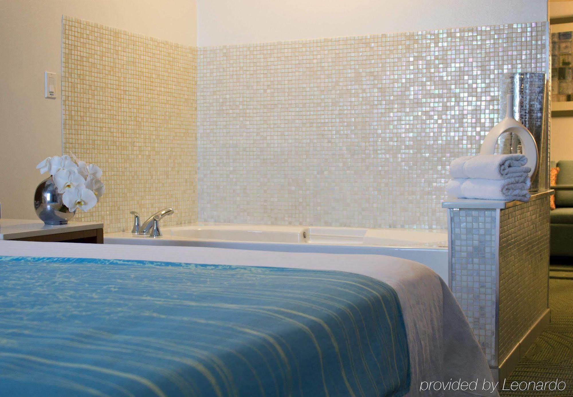 Springhill Suites Cincinnati Airport South Florence Cameră foto